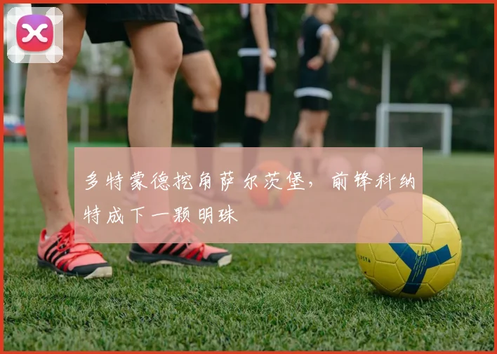 多特蒙德挖角萨尔茨堡,前锋科纳特成下一颗明珠