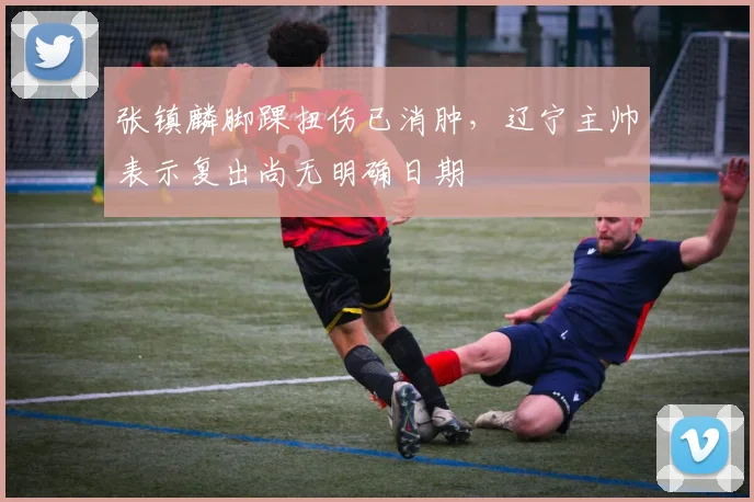 张镇麟脚踝扭伤已消肿,辽宁主帅表示复出尚无明确日期